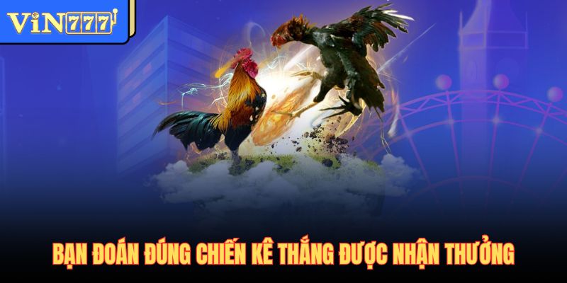 Bạn đoán đúng chiến kê thắng được nhận thưởng