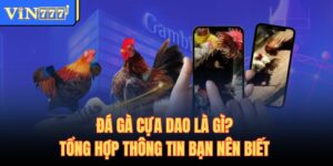 Đá Gà Cựa Dao
